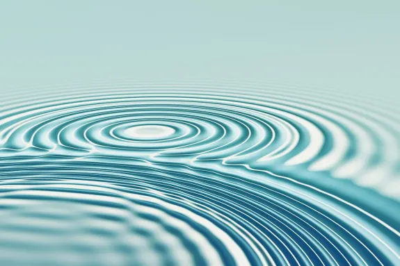 BetBeard Kaszinó Támogatás